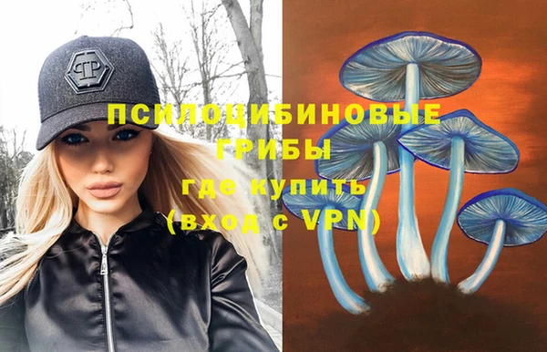 марки lsd Богородск