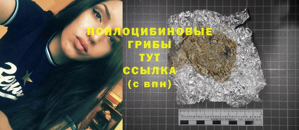 дживик Богданович