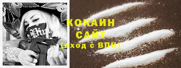 дживик Богданович