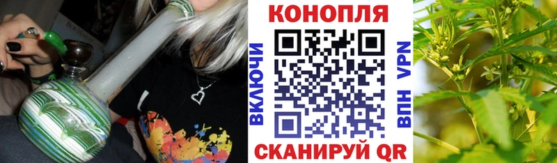 Бошки Шишки план  Купить где  Сурск 